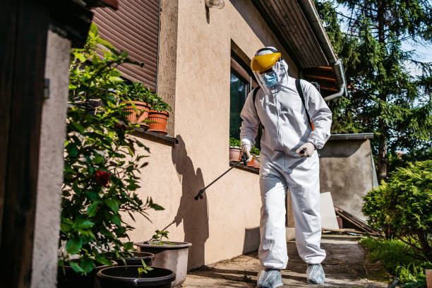Best Mosquito Control Services  in Grass Lake, MI