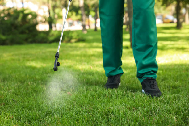 Best Cockroach Control Services  in Grass Lake, MI