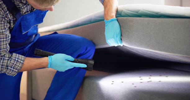 Best Pest Removal Services  in Grass Lake, MI