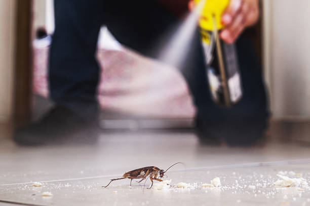 Best Termite Control Services  in Grass Lake, MI