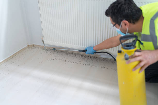 Best Pest Inspection Near Me  in Grass Lake, MI