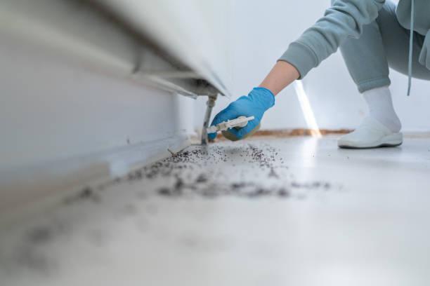  Grass Lake, MI Pest Control Pros